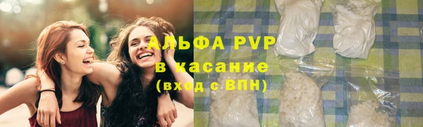 бошки Ладушкин