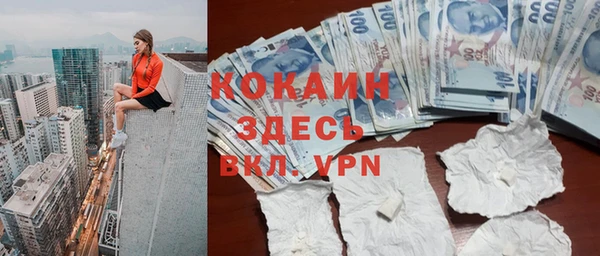 индика Верея